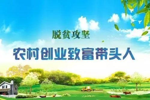 浙江出台招投标领域公平竞争审查细则