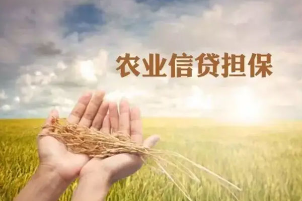 湖北发布中小企业商业价值信用贷款政策